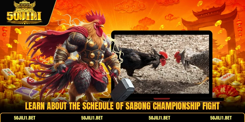 Learn about the schedule of sabong championship fight Learn about the schedule of sabong championship fight