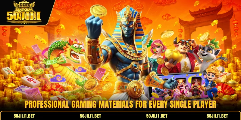 Professional gaming materials for every single player